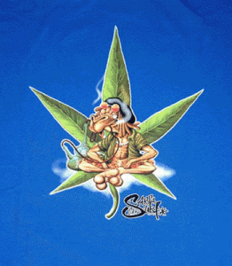 Plant