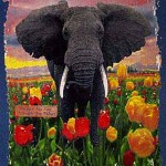 Elephant Tulips