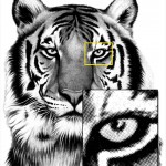 TigerHead-Halftone-Web