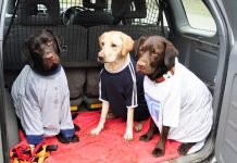 NewBie or Not NewBie? That is the question by Pat Fresener